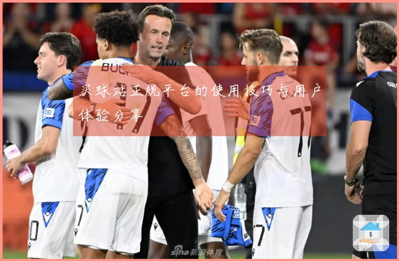 买球站正规平台的使用技巧与用户体验分享