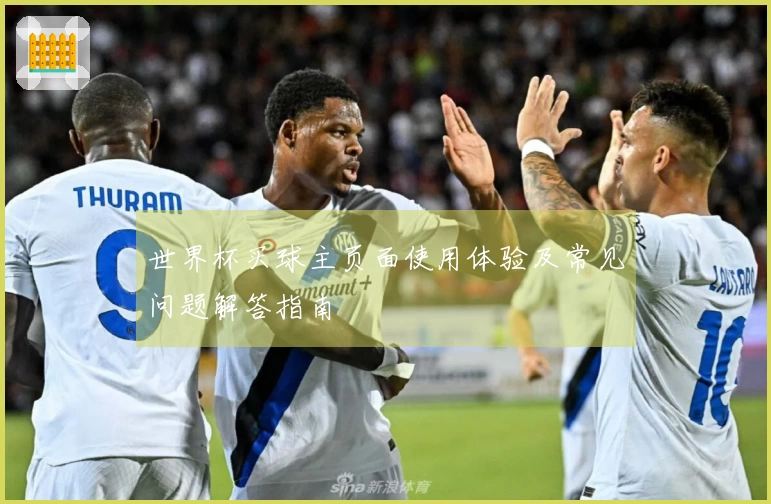世界杯买球主页面使用体验及常见问题解答指南