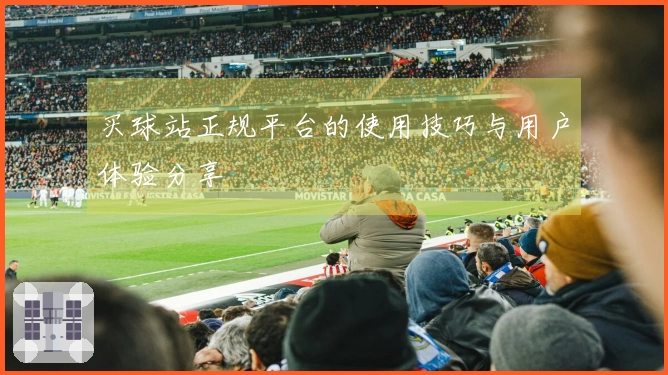 买球站正规平台的使用技巧与用户体验分享